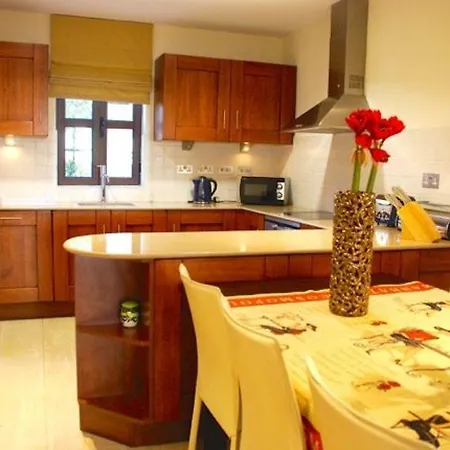 “the Ultimate Guide To Renting Your Dream Villa″ - Apollo فيلة *